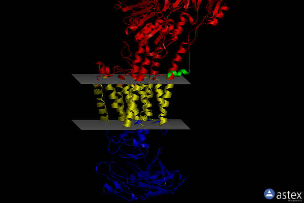 Membrane view of 3n23