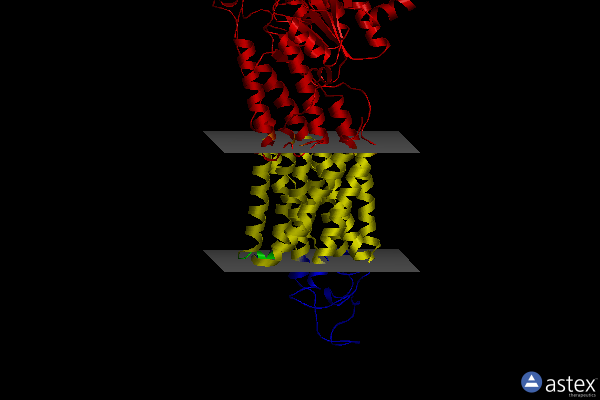 Membrane view of 3n8g