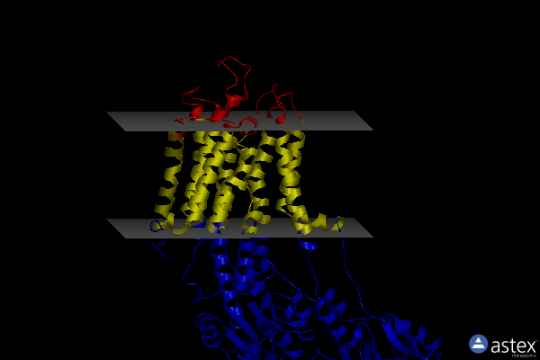 Membrane view of 3nal