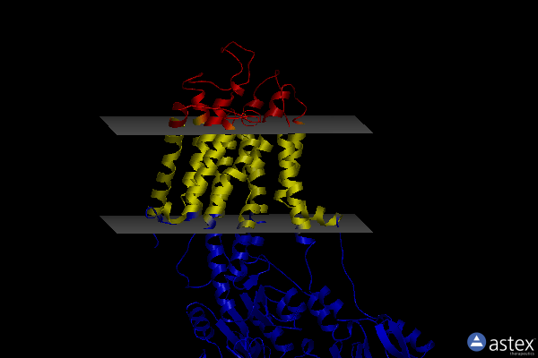 Membrane view of 3nam