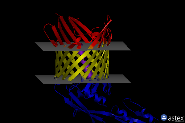 Membrane view of 3njt