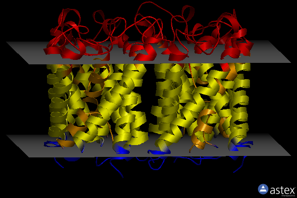 Membrane view of 3nka