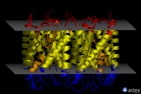 Membrane view of 3nkc