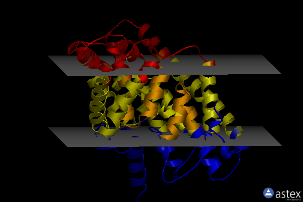 Membrane view of 3nmo