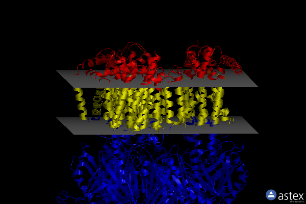 Membrane view of 3nog