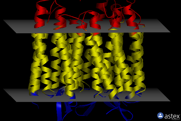 Membrane view of 3ns0
