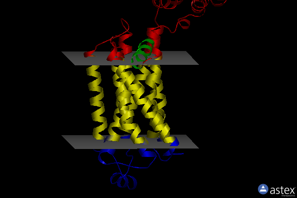 Membrane view of 3ny8