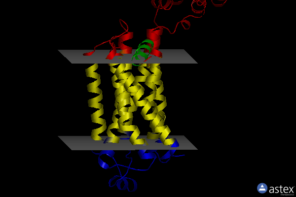 Membrane view of 3ny9