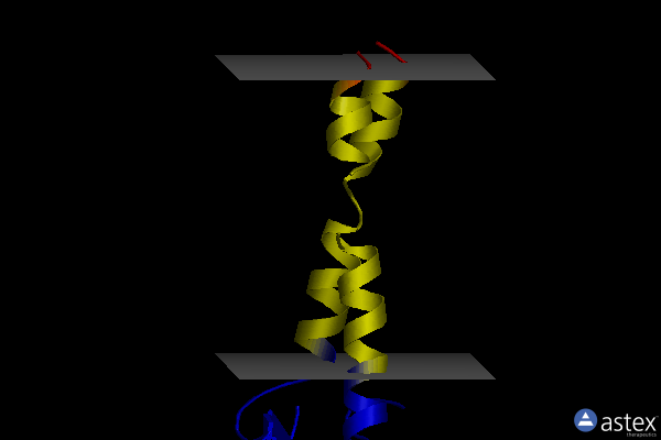 Membrane view of 3nym