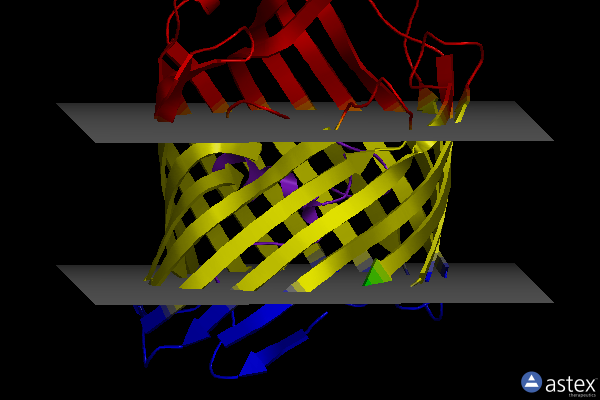 Membrane view of 3o0e
