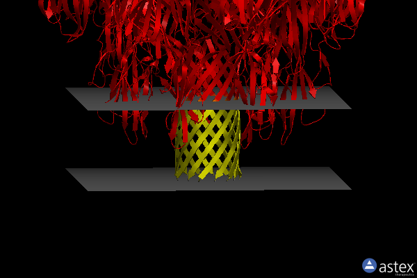 Membrane view of 3o44