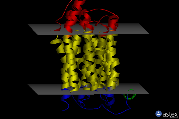 Membrane view of 3o7q