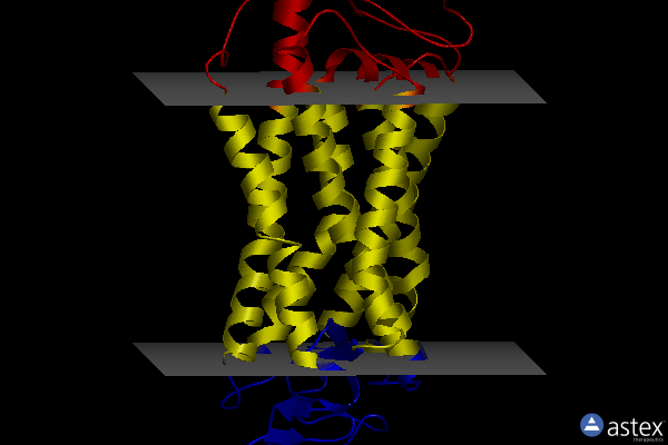 Membrane view of 3oax