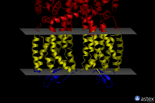 Membrane view of 3oe9