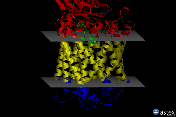 Membrane view of 3omn