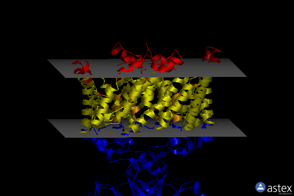 Membrane view of 3org