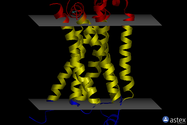 Membrane view of 3p0g