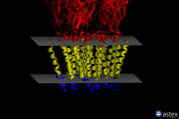 Membrane view of 3p4w