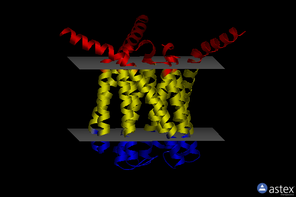 Membrane view of 3pcv