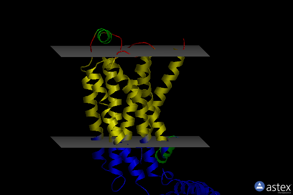 Membrane view of 3pds