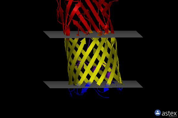 Membrane view of 3pf1