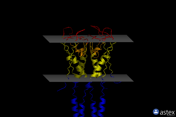 Membrane view of 3pjs