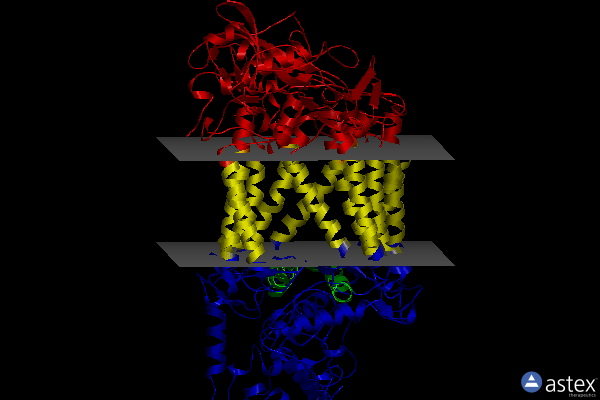 Membrane view of 3prc