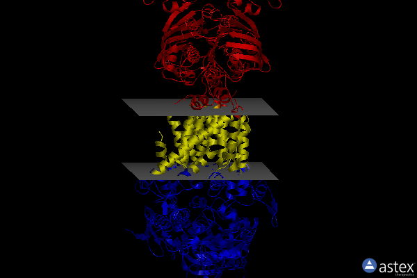 Membrane view of 3puw
