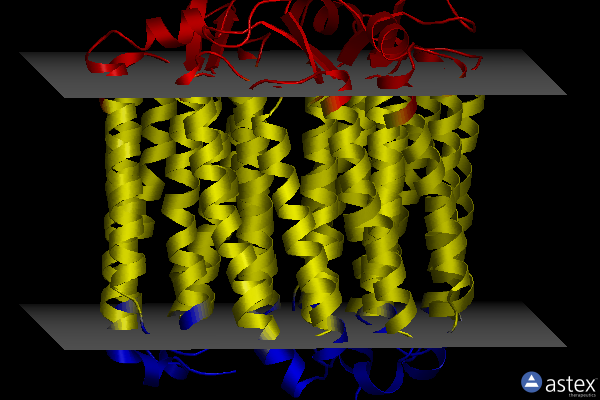 Membrane view of 3qbi