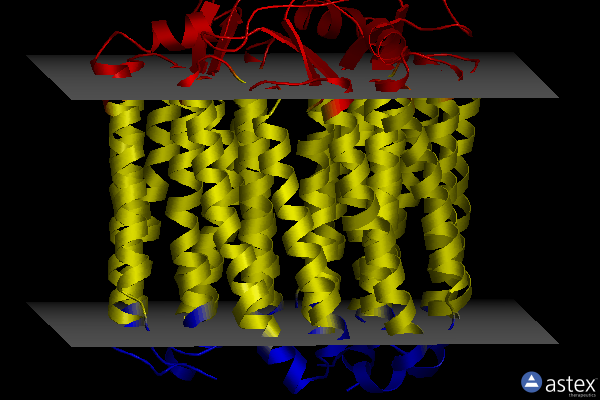 Membrane view of 3qbl