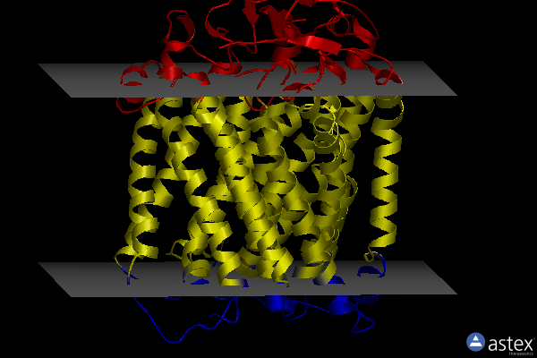 Membrane view of 3qjq