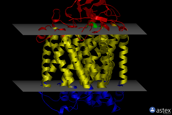 Membrane view of 3qjv