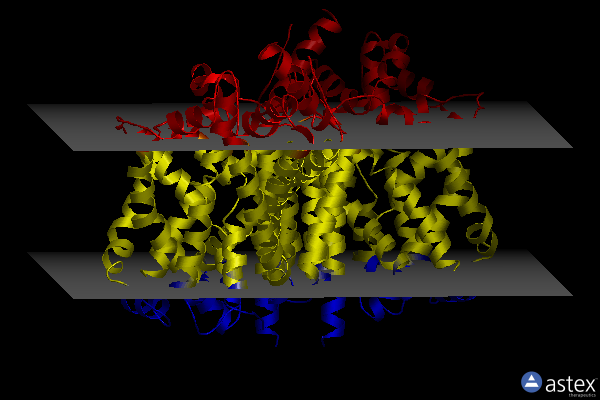 Membrane view of 3qs4