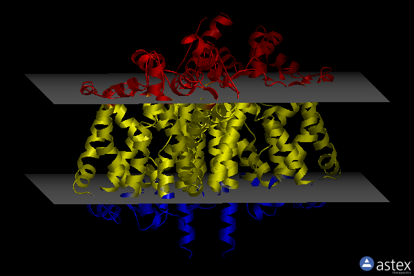 Membrane view of 3qs6