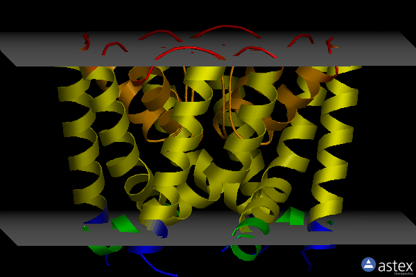 Membrane view of 3r65