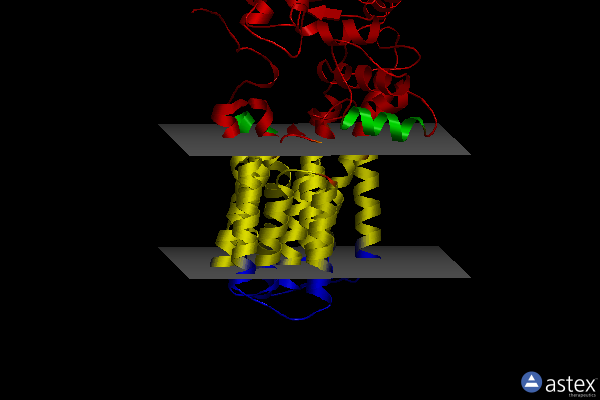 Membrane view of 3rce
