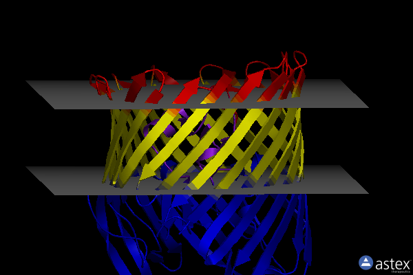 Membrane view of 3rgm