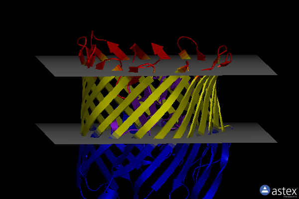 Membrane view of 3rgn