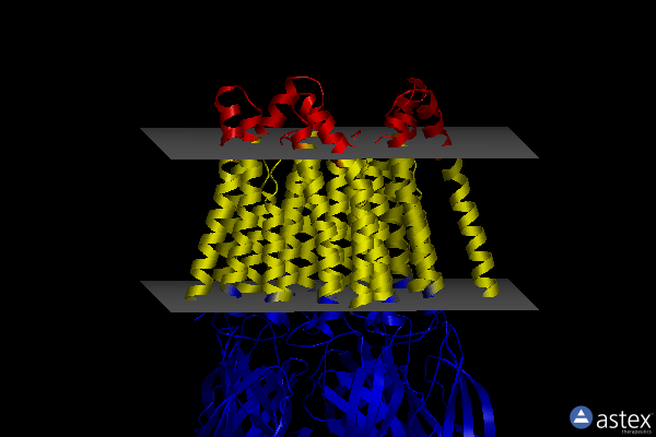 Membrane view of 3ria