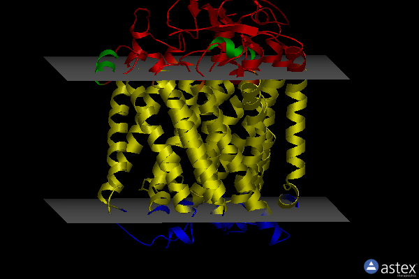 Membrane view of 3s3a