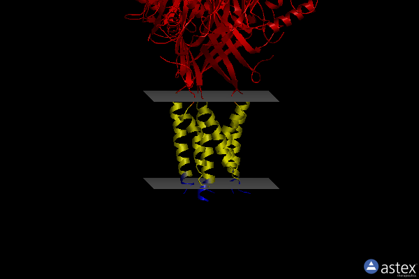 Membrane view of 3s3w