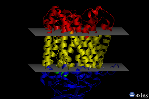 Membrane view of 3s8f