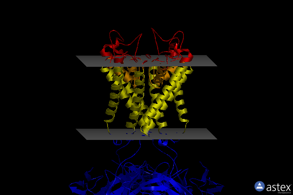 Membrane view of 3spj
