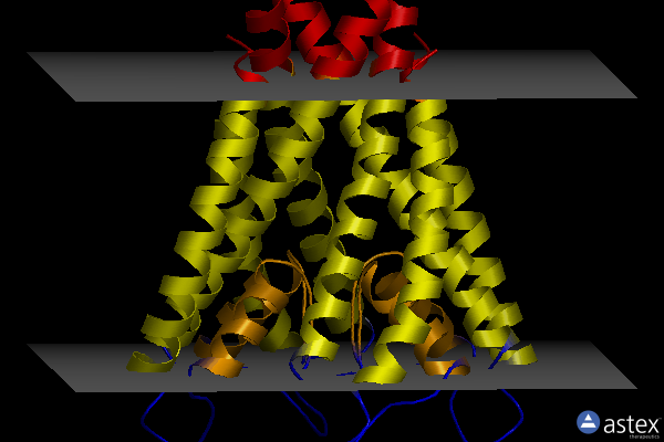 Membrane view of 3stz