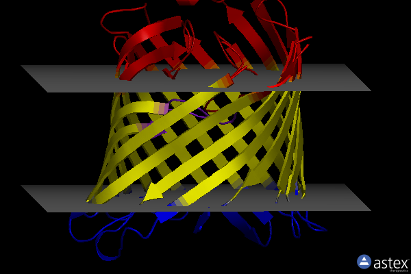 Membrane view of 3sy7