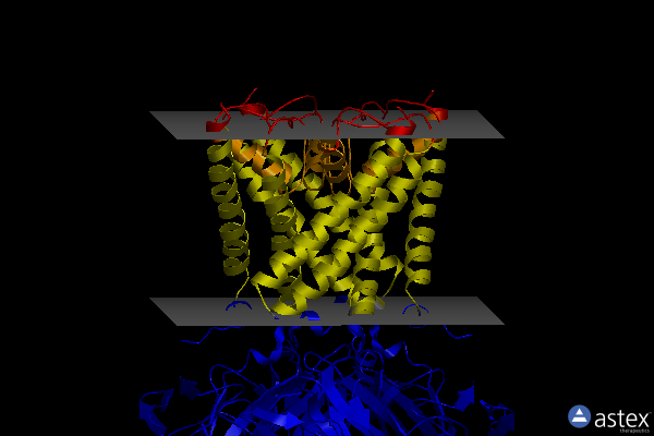 Membrane view of 3syc