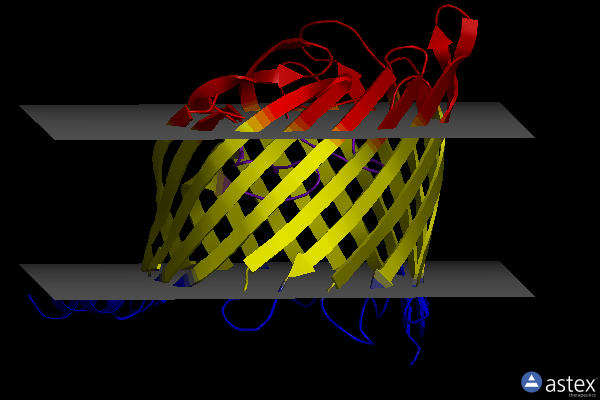 Membrane view of 3szv