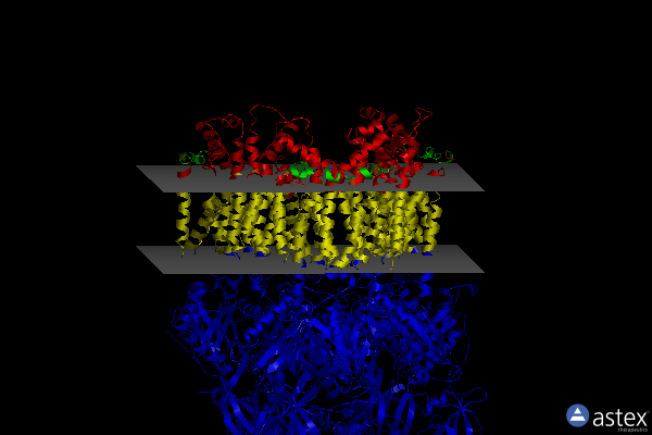 Membrane view of 3t56