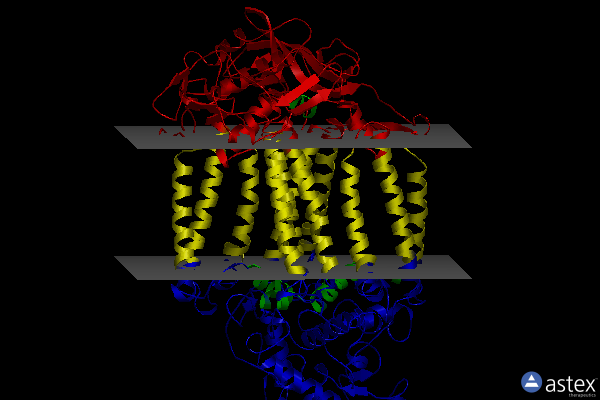 Membrane view of 3t6d
