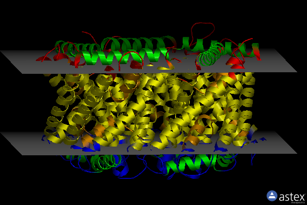 Membrane view of 3tds